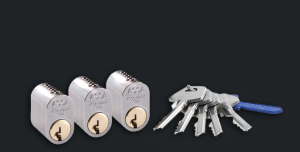 cylinder-kopieringsskyddad-assa-d12-nybergs2 Cylinder Kopieringsskyddad ASSA D12 Nybergs
